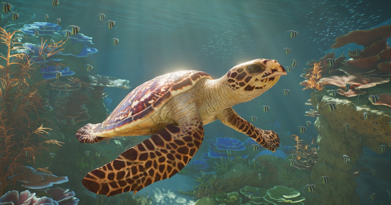 „Planet Zoo 2“ jau turi datą: kūrėjai žada dar didesnį zoo ir naujoves visoms platformoms