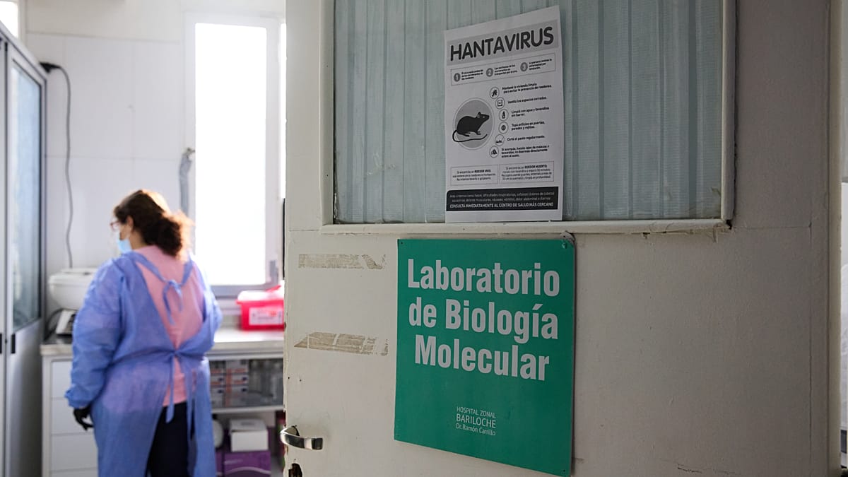 Hantaviruso vakcina dar kuriama: po mirtino protrūkio kruiziniame laive aiškėja pirmi rezultatai