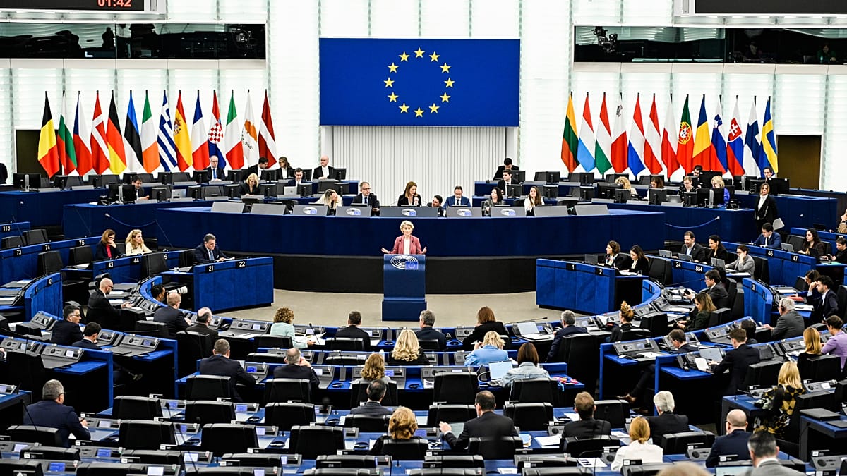 Milijonas parašų ir 7 šalys: kaip piliečių iniciatyvos priverčia Briuselį reaguoti
