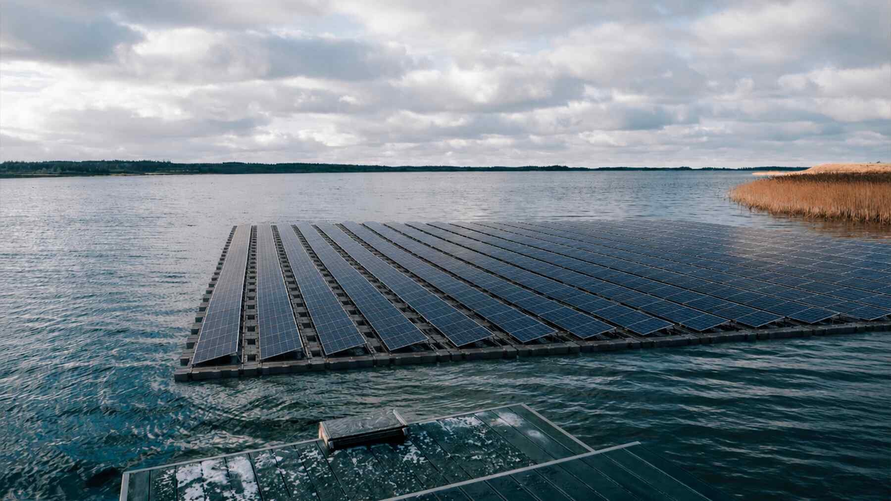 Nyderlandų ežere įrengta plūduriuojanti saulės elektrinė: po ja biohutai pritraukė gyvybę
