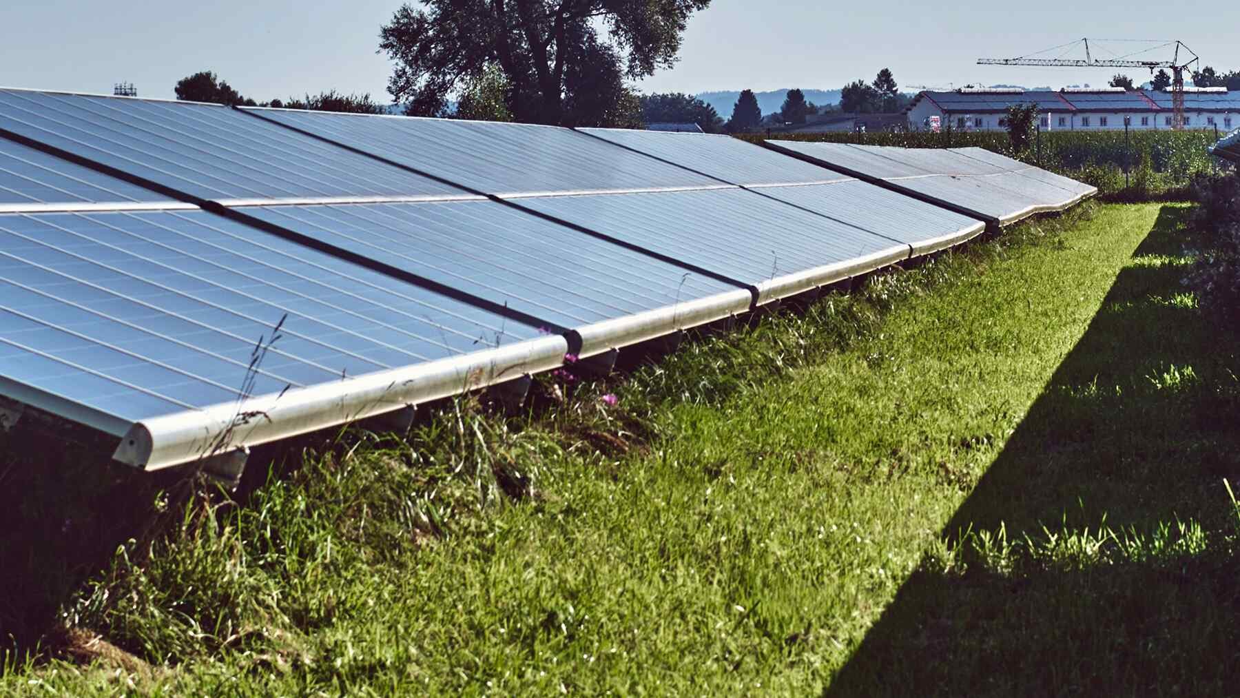 Italijos saulės parke po moduliais – skirtingi mikroklimatai: dirvožemio gyviai gyvena skirtingai