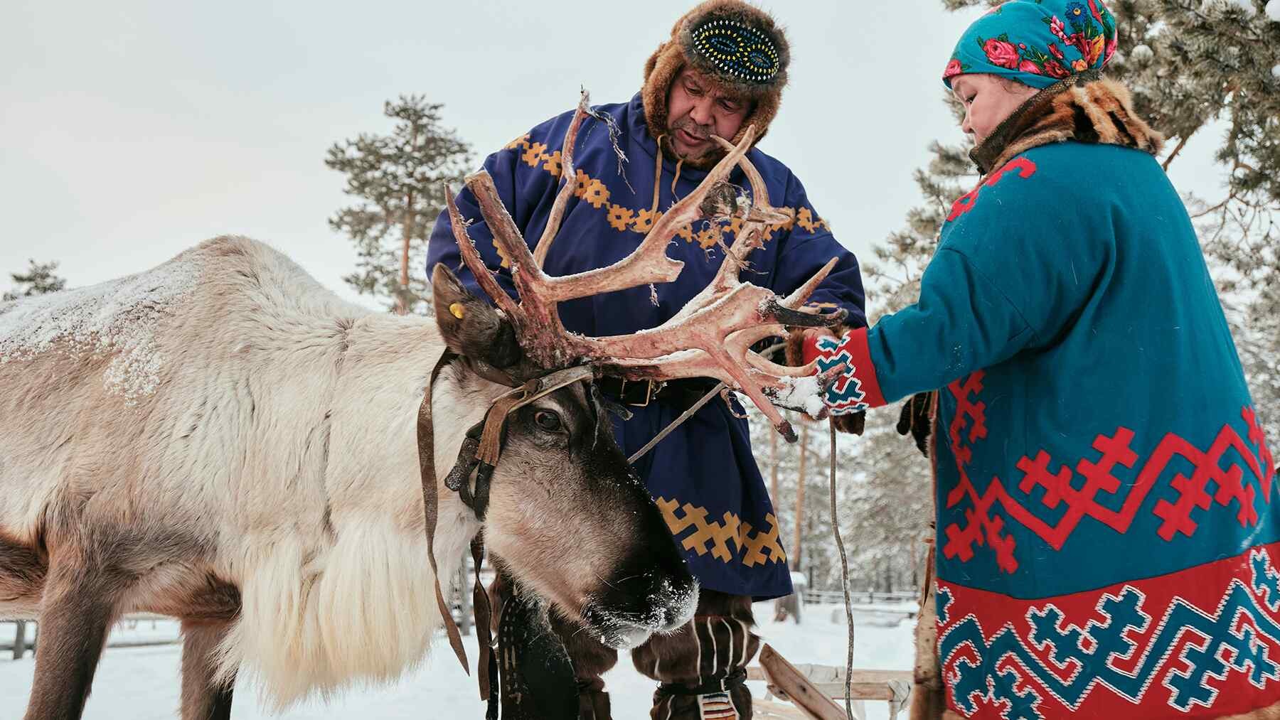 Norvegijos vėjo jėgainių parkas pripažintas pažeidęs samių teises: kodėl elnių migracija tapo konfliktu