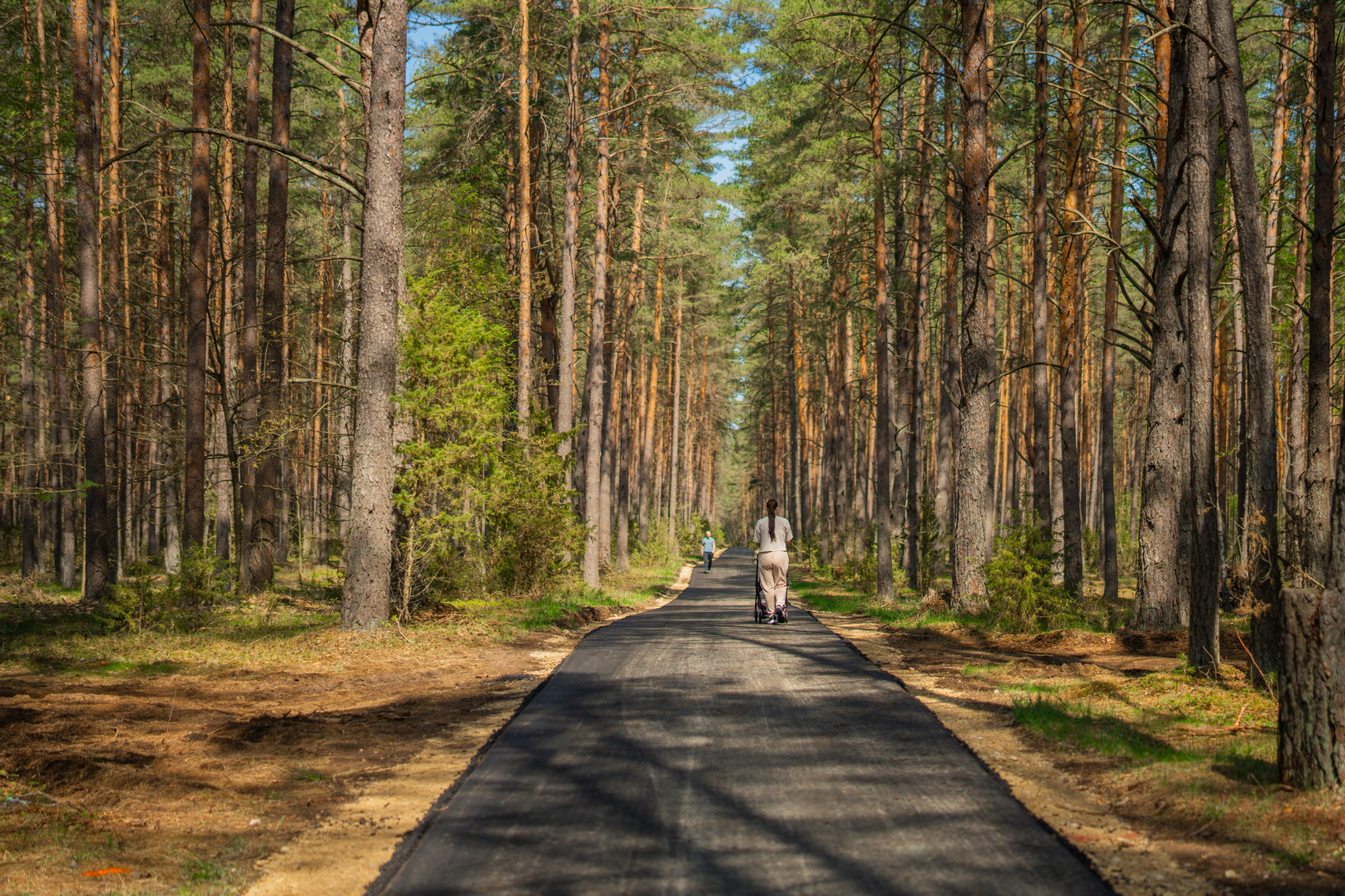 Druskininkai iki vasaros atnaujins 23 km dviračių takų: kas keisis populiariausiuose maršrutuose