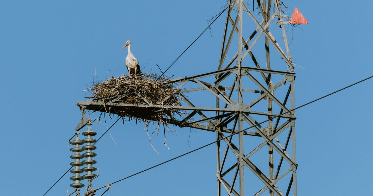 Europos kraštutinė dešinė bando stabdyti atsinaujinančią energetiką: prisidengia gamtos apsauga