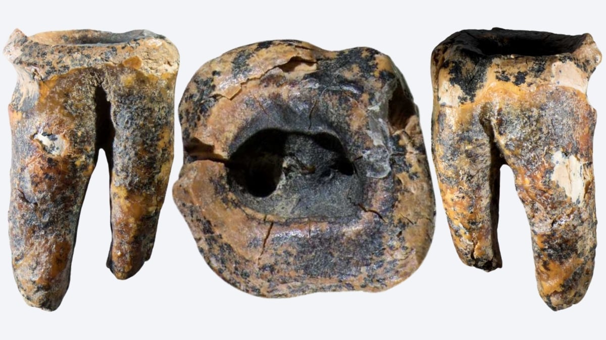 Šokiruojantis radinys Rusijos oloje: neandertaliečiai dantis gręžė dar prieš 60 000 metų