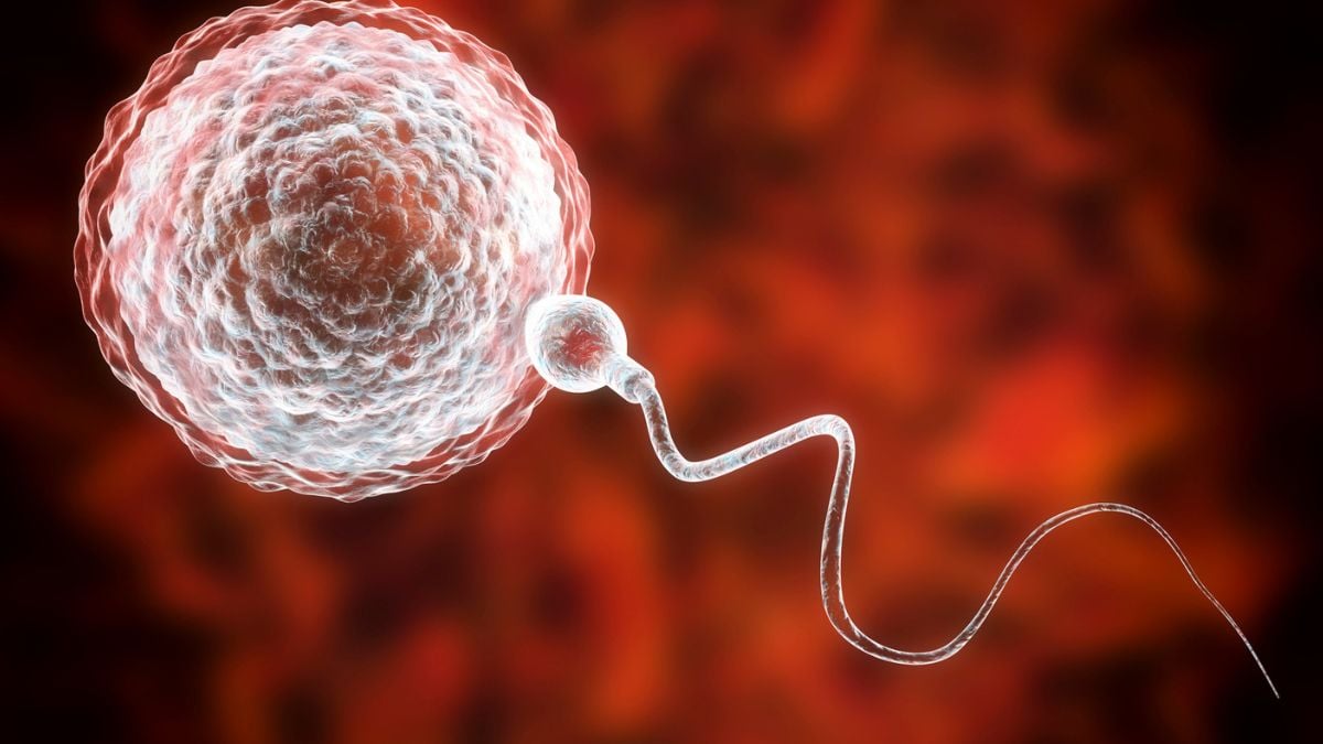 Pirmas pasaulyje atvejis: vyrui atkurta sperma iš vaikystėje užšaldyto sėklidės audinio