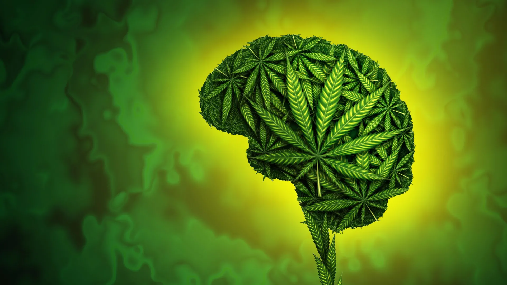 Major Lancet review questions medicinal cannabis for anxiety and PTSD as trial evidence falls short