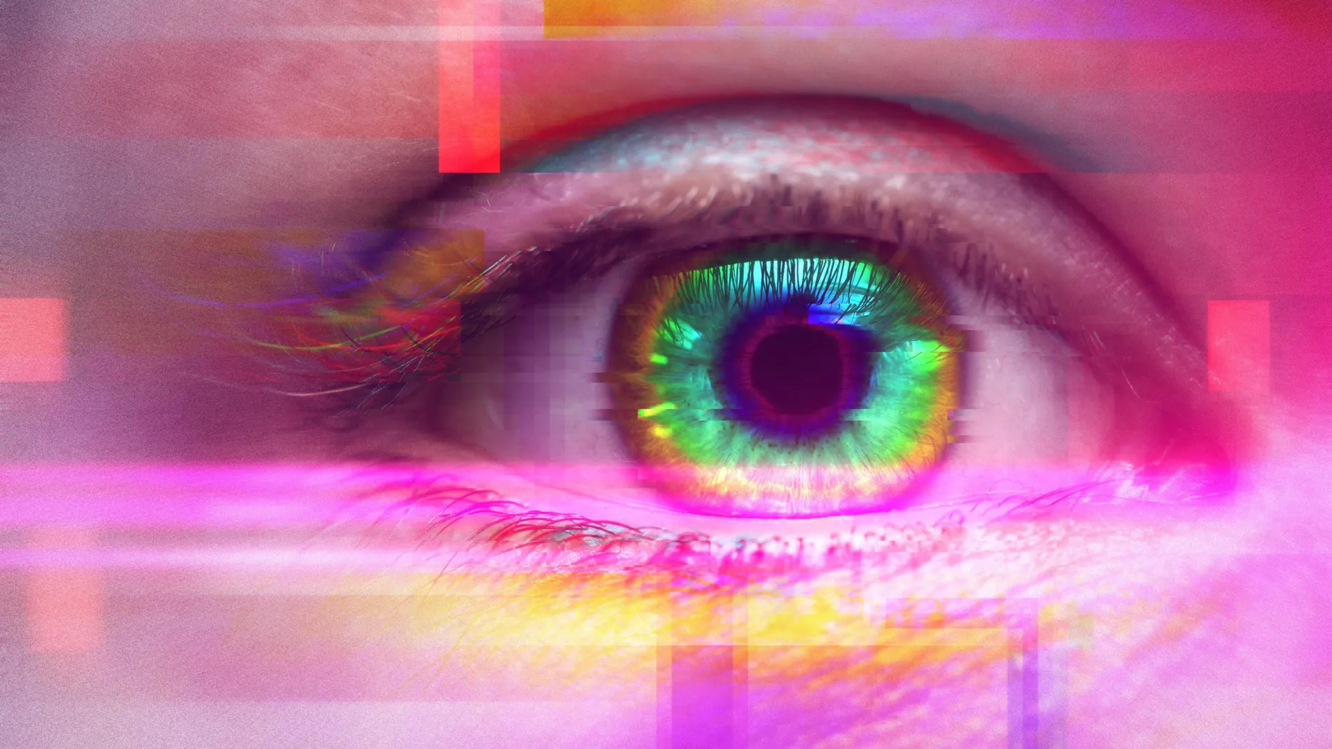 New brain-mapping study suggests psychedelics mute visual reality and amplify memory signals