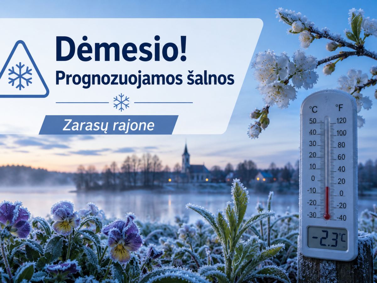Zarasų rajone naktį prognozuojamos pavojingos šalnos: įspėja dėl daržų, žiedų ir uogakrūmių