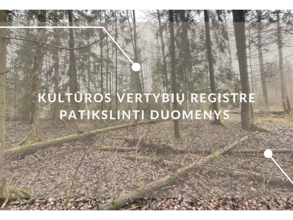 Pašulių pilkapiai Kaišiadorių rajone: registre patikslintos ribos, savybės ir apsaugos zonos
