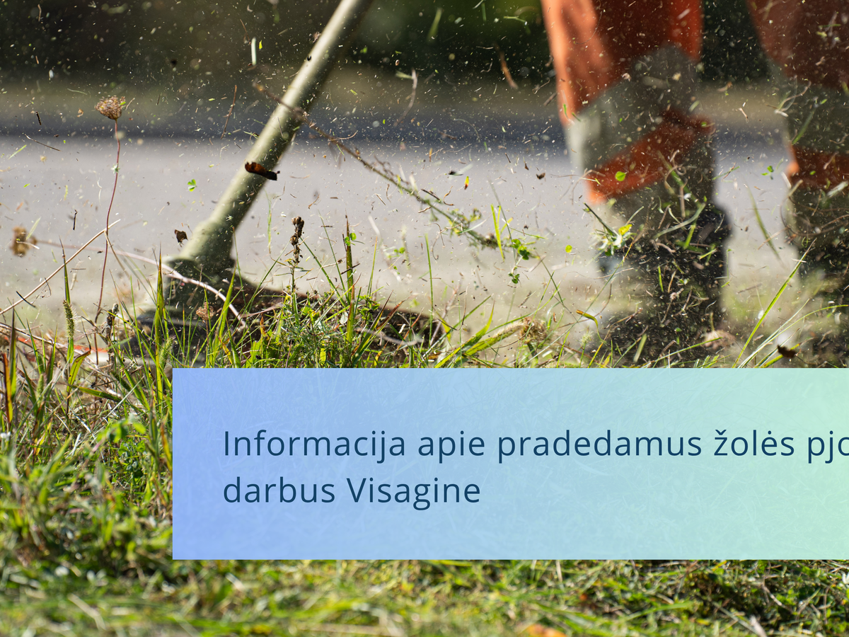 Visagine startuoja vejų šienavimas: savivaldybė įvardijo gatves, kuriose darbai vyks gegužę