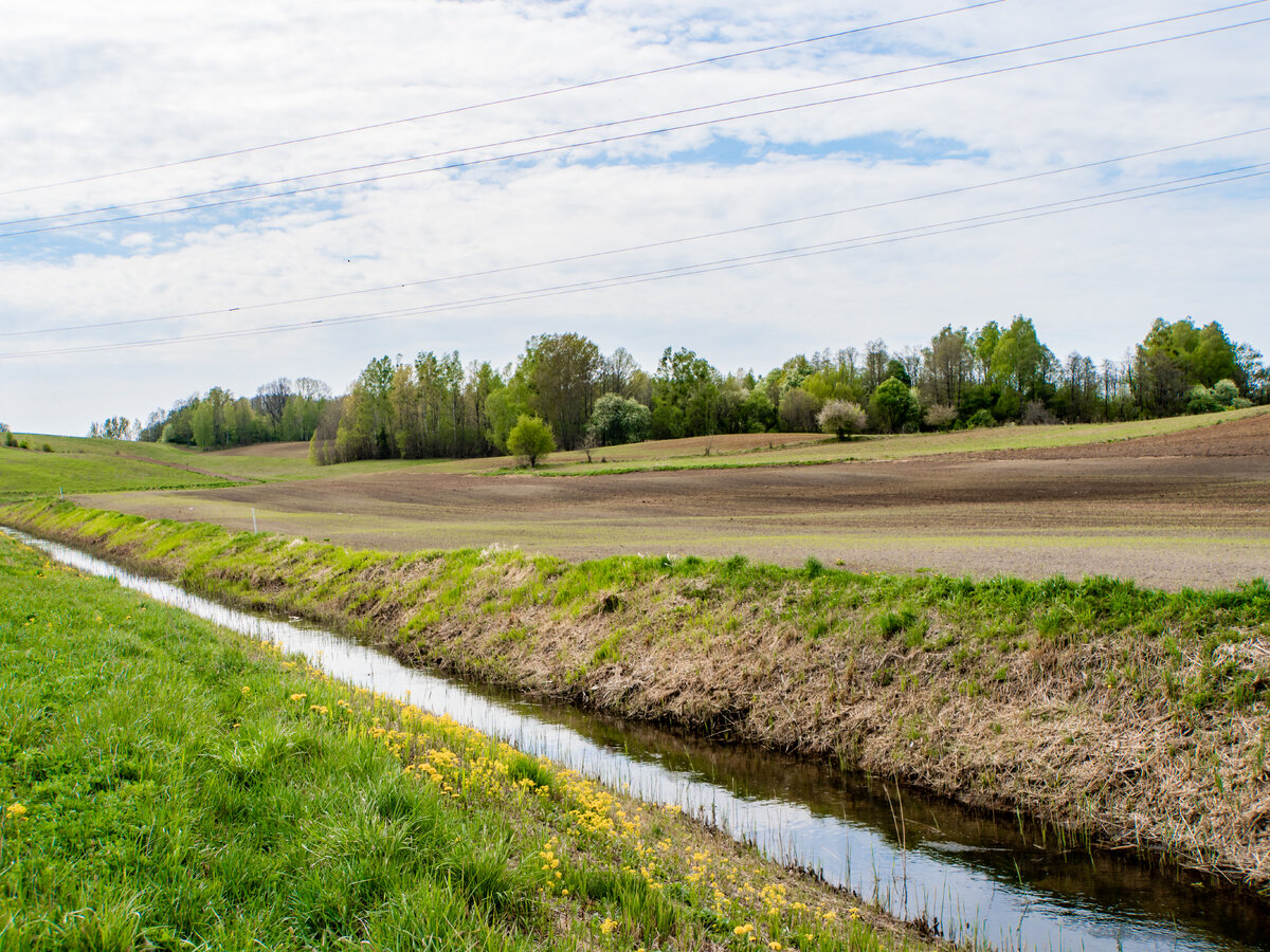 Lazdijų rajone atnaujins 5 siurblines ir 12 km melioracijos griovių: ką tai pakeis ūkiams?