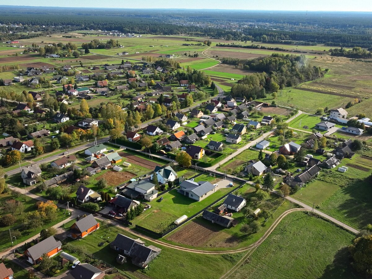 Nemenčinės seniūnijoje šaukiama išplėstinė seniūnaičių sueiga nuotoliu: aptars kelių darbus