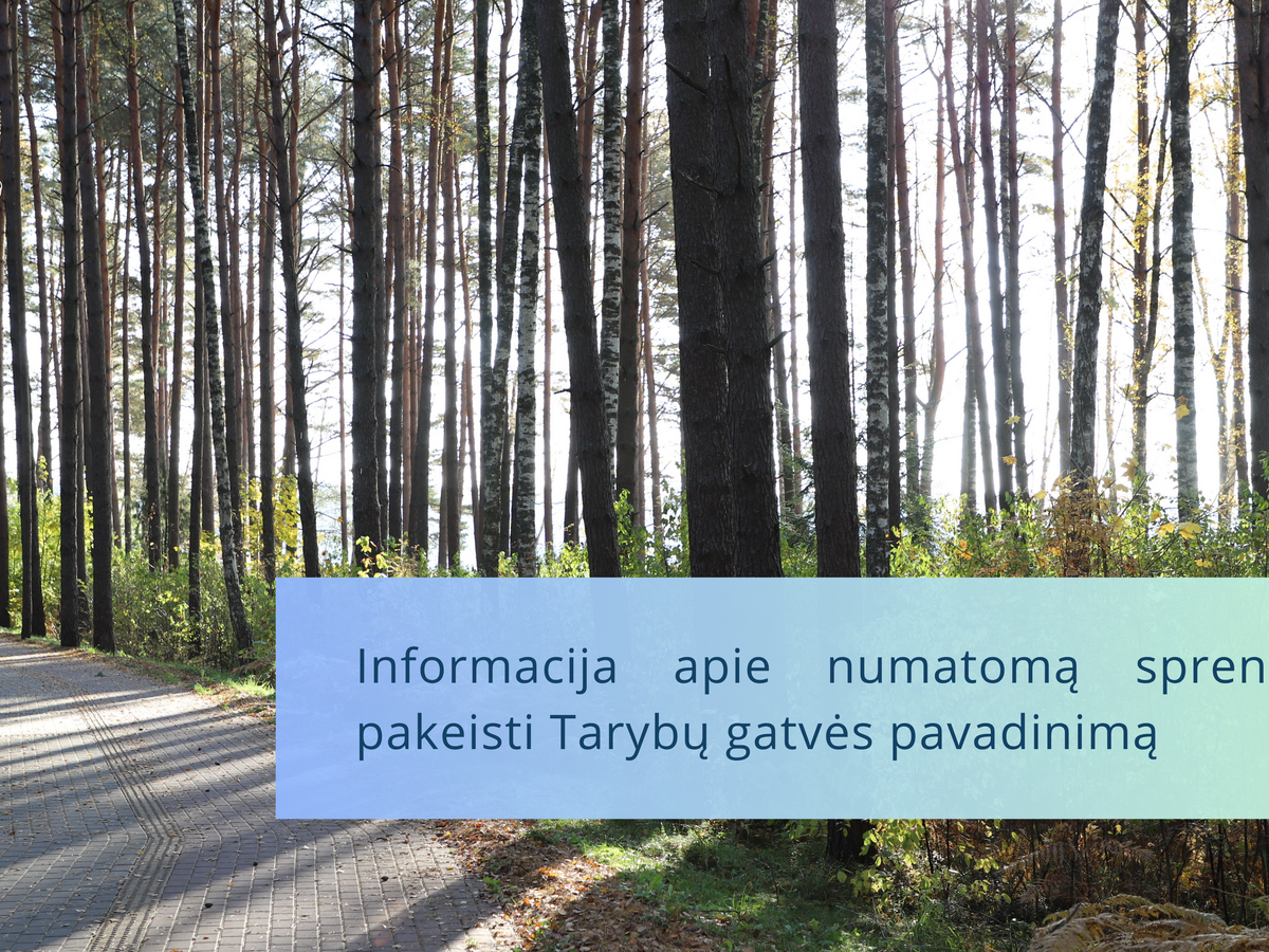 Visagine siūloma pervadinti Tarybų gatvę: taryba sprendimą dėl Atgimimo alėjos svarstys gegužės 28 dieną