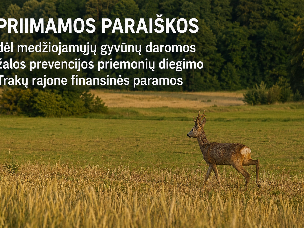 Trakų rajone iki birželio 30 dienos priimamos paraiškos žalos nuo laukinių gyvūnų prevencijai
