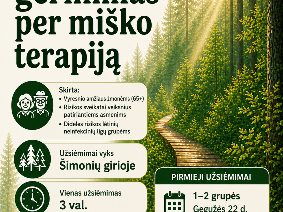 Nemokama miško terapija Šimonių girioje: Kupiškio sveikatos biuras renka 4 suaugusiųjų grupes