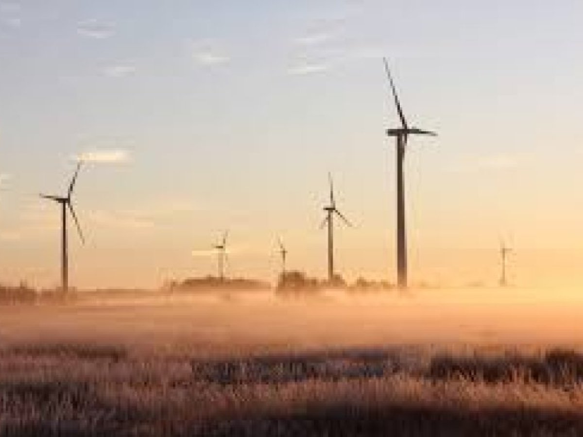 „Gryna Energija“ planuoja tris iki 8 000 kW vėjo elektrines Kaišiadorių rajone: ką svarbu žinoti gyventojams