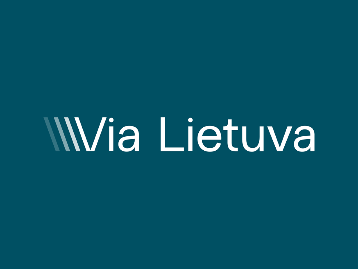 Elektros tinklų apsaugos zonos: „Via Lietuva“ planą pateikė tvirtinti, ką tai reiškia savivaldybėms