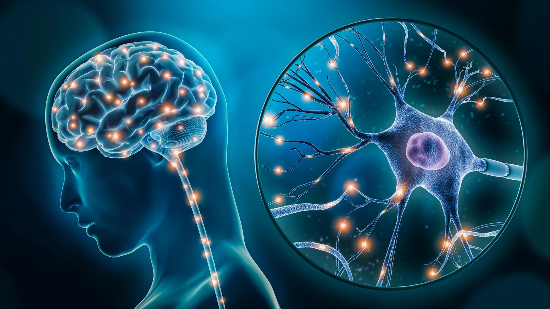 Depression research takes a new turn: Scientists trace the disorder to specific brain cell types