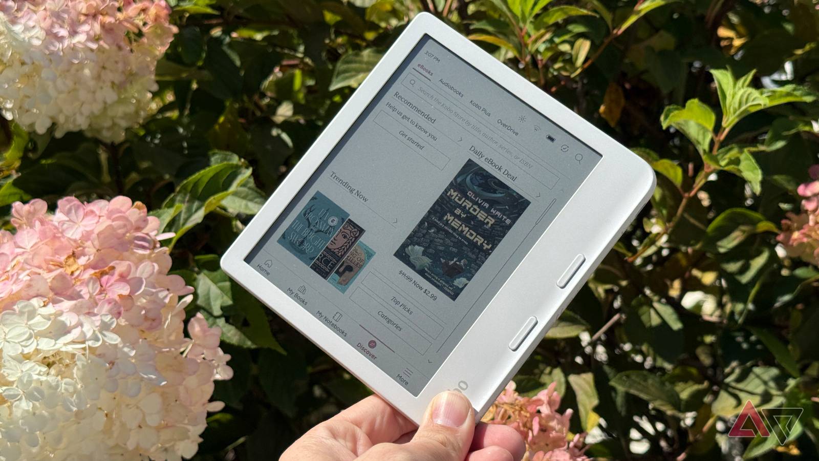Kobo netikėtai pabrangino skaitykles: kainos kyla net senesniems modeliams, pirkėjai piktinasi
