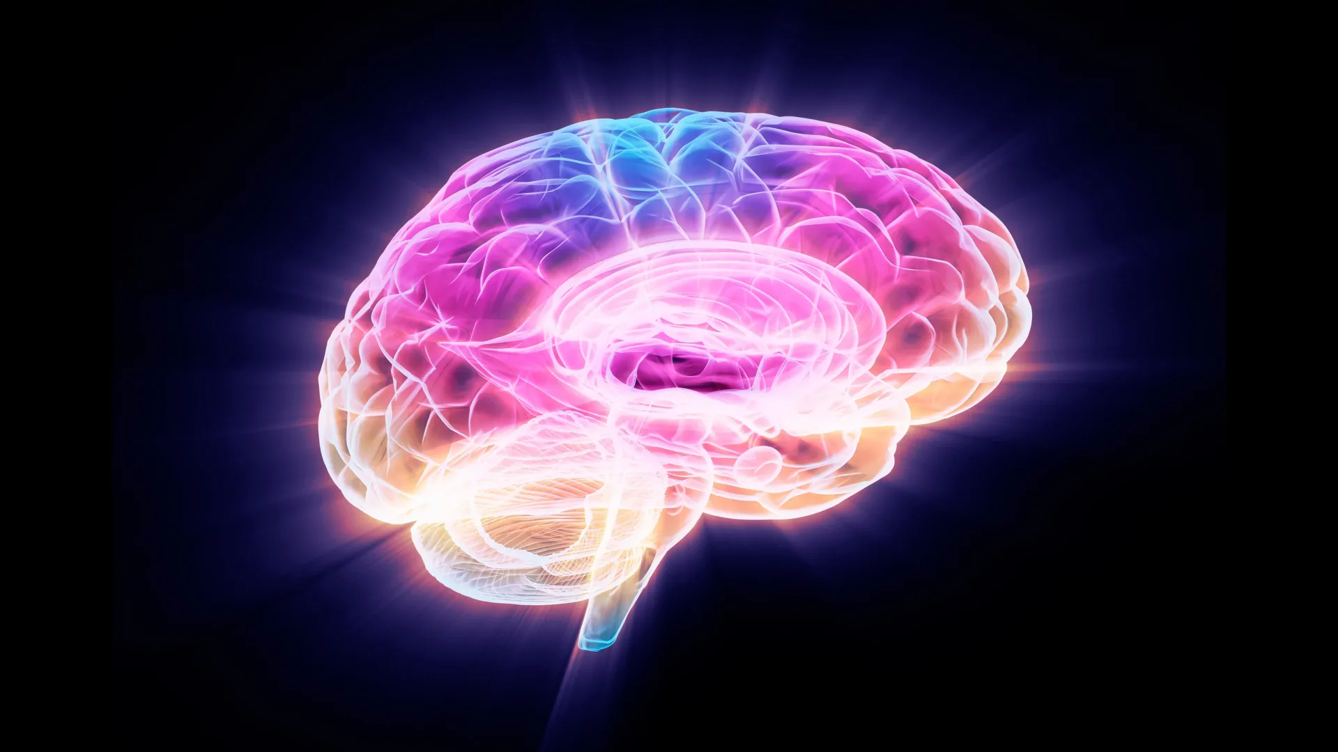 UCSF study flags FTL1 protein as a driver of brain aging, and a potential new target to restore memory