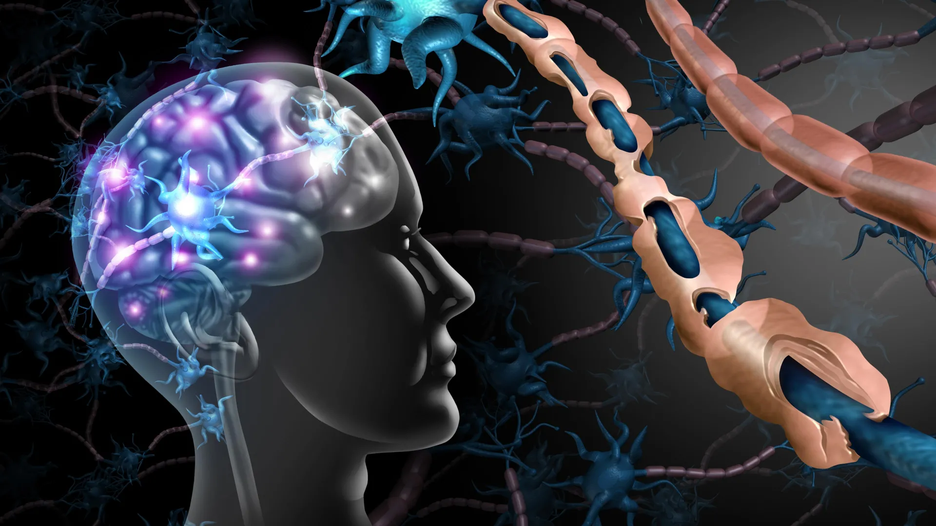 New MS remyelination drugs move closer to trials as K102 and K110 show promise in repairing nerve damage