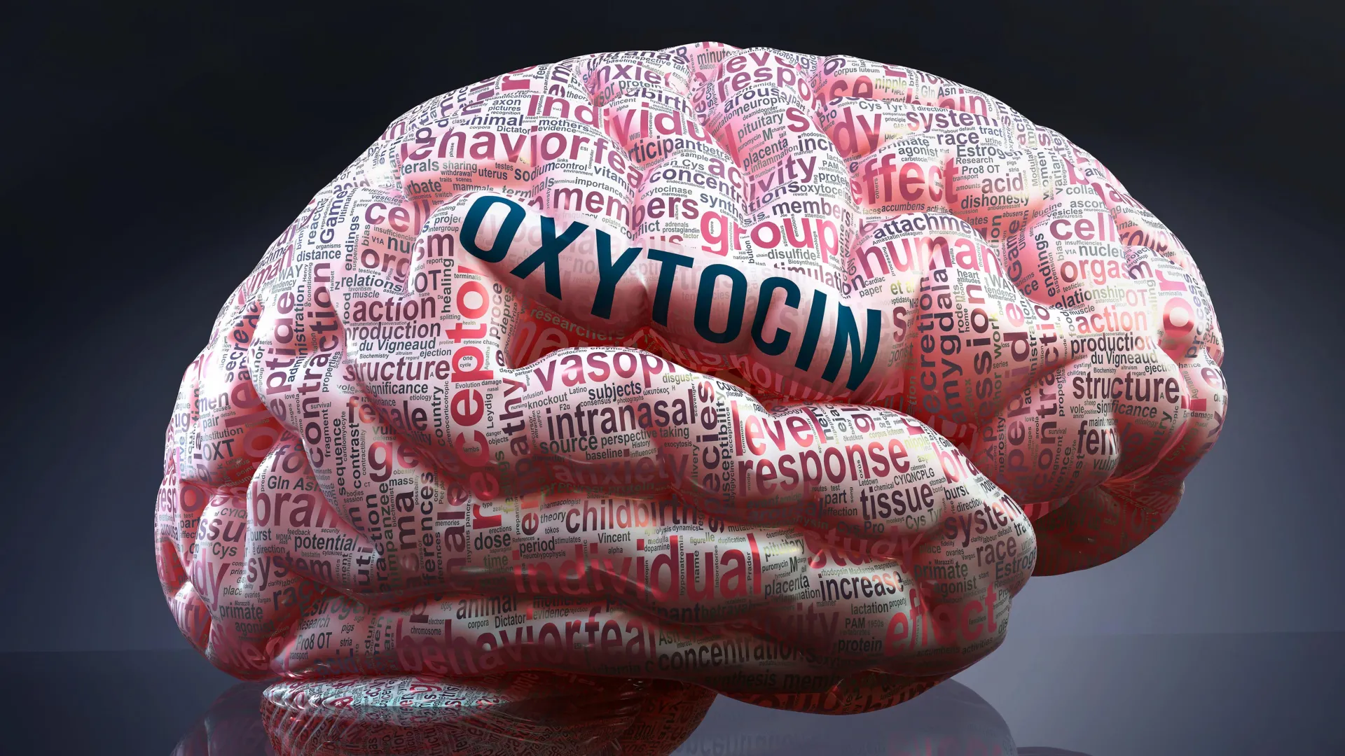 UC Berkeley study points to oxytocin as the fast track to friendship, and why some bonds take longer to form