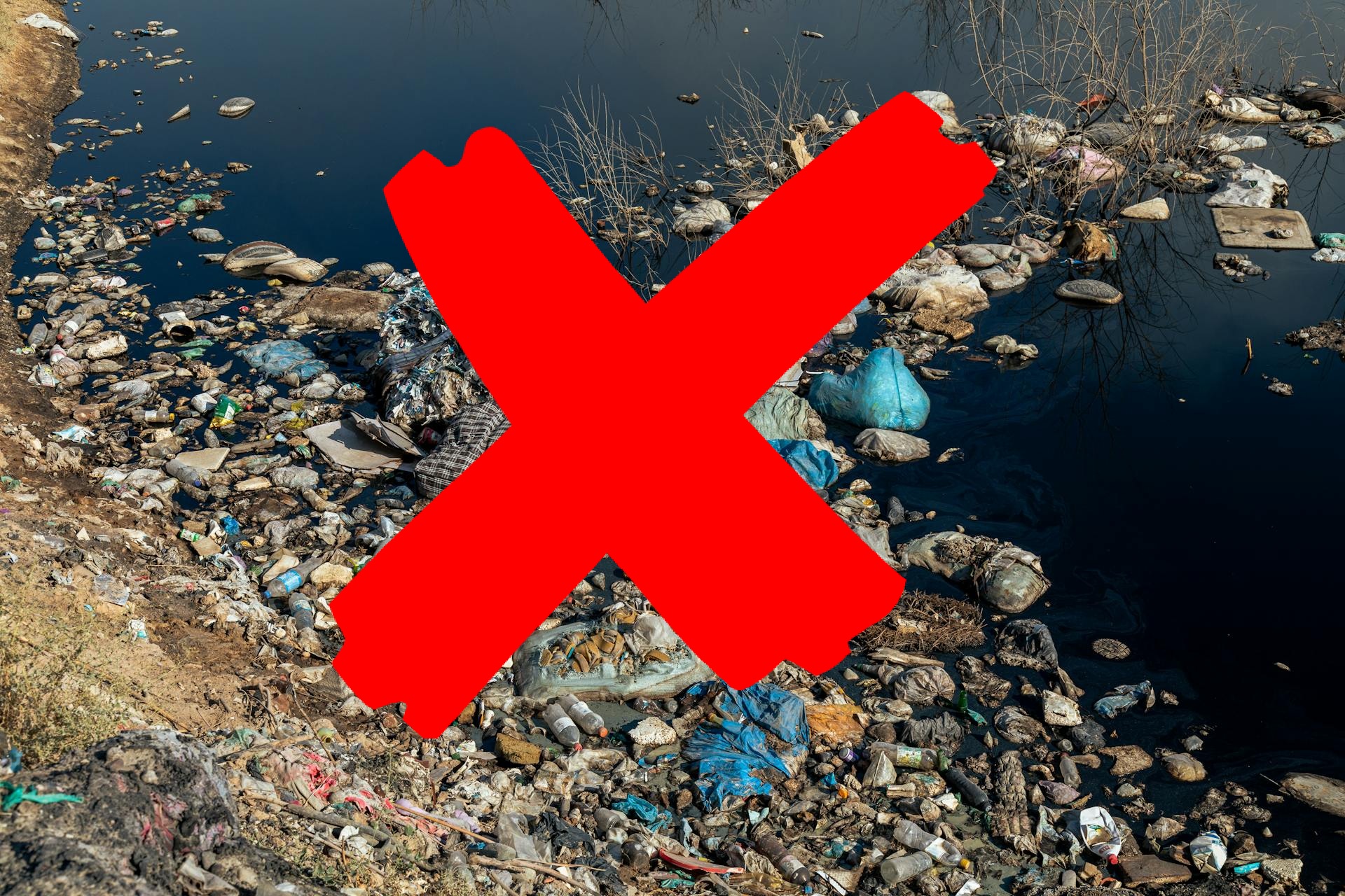 Kinai sukūrė gyvą plastiką: atrodo įprastai, bet gali suirti per 6 dienas be mikroplastiko