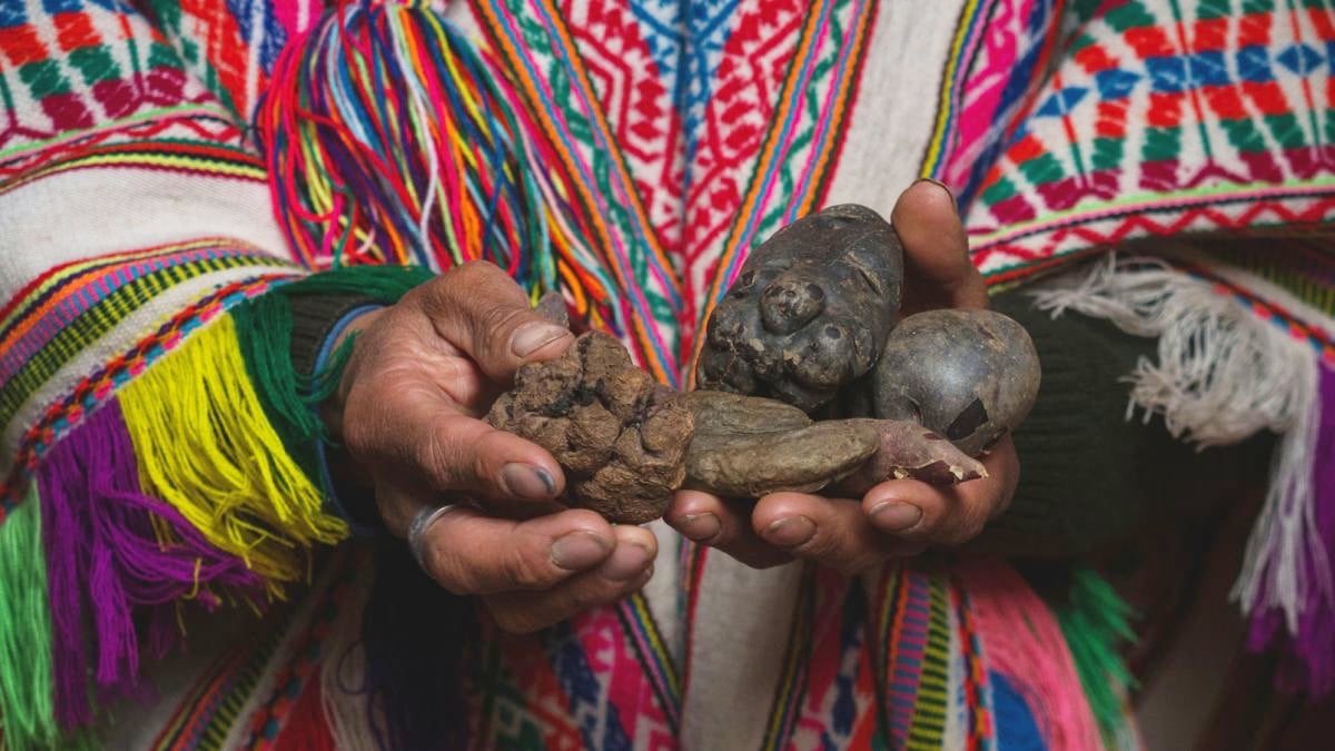 Mokslininkai nustebo: Peru Andų gyventojai išsiugdė „supergalią“ virškindami krakmolą
