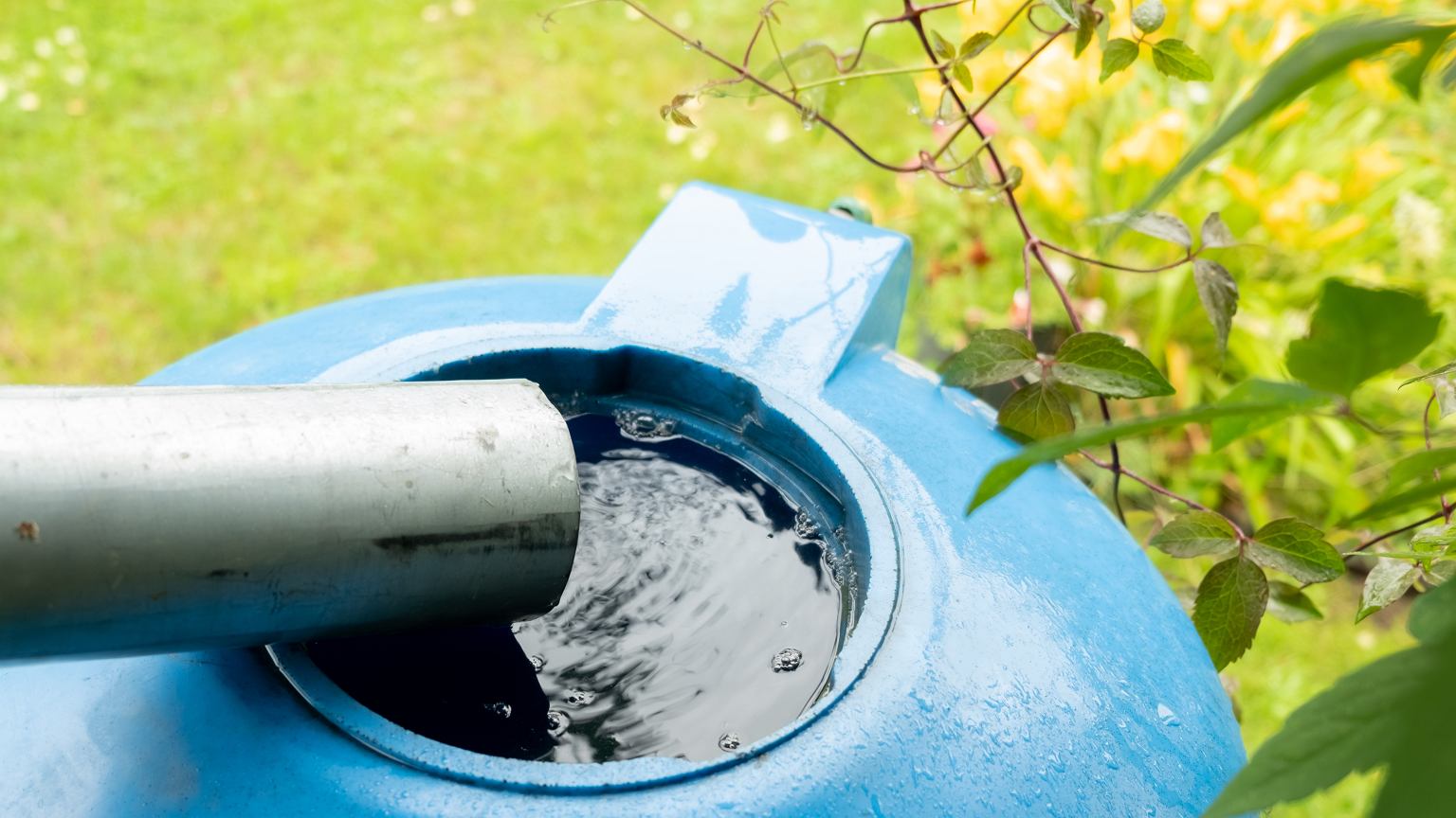 Plastikinės statinės traukiasi: siauri lietaus vandens bakai tampa sodo hitu ir puošmena