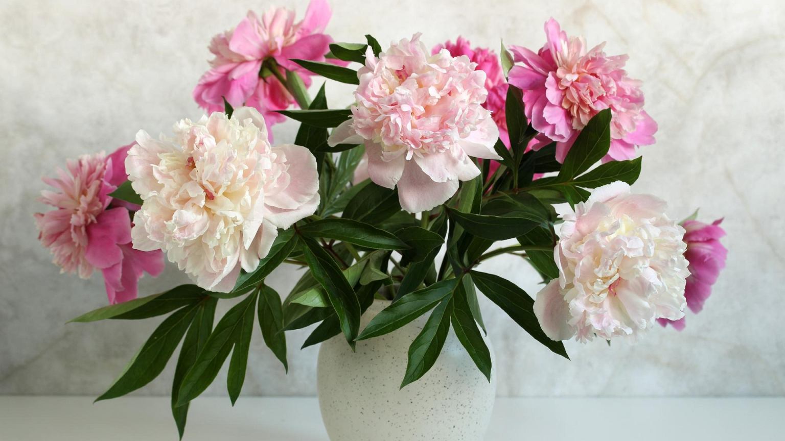 Floristės atskleidė triuką su lediniu vandeniu: bijūnai vazoje išsilaiko gerokai ilgiau