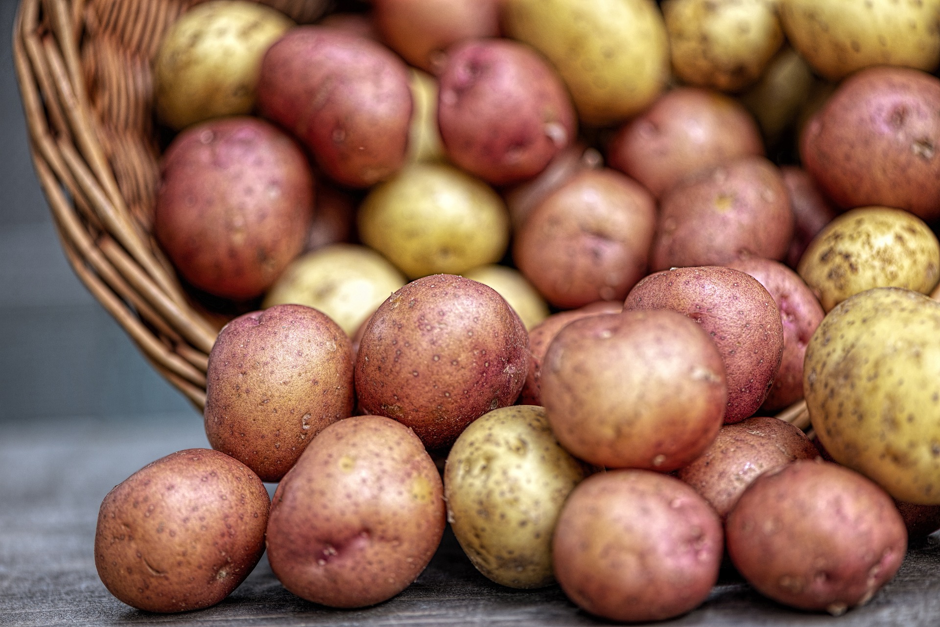 Andų gyventojų virškinimo supergalia nustebino mokslininkus: už viską „kalti“ bulvių laukai
