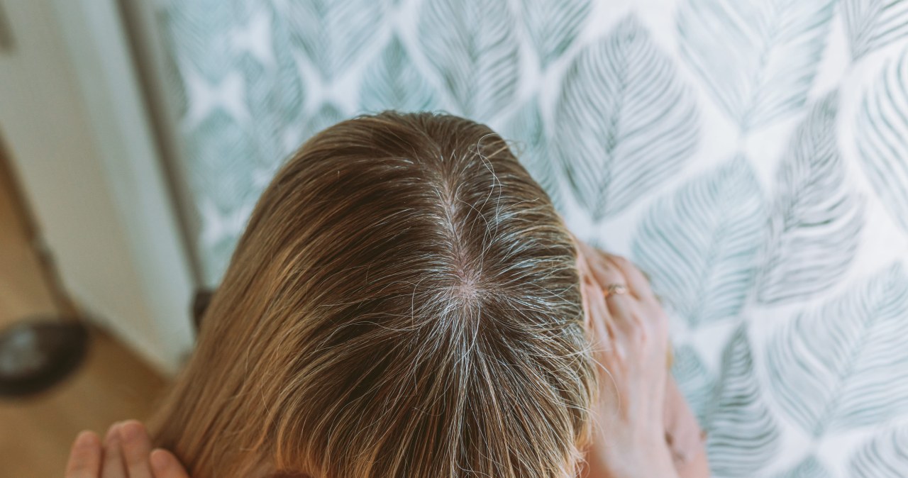 Slenka siūlai? Šalavijo užpilas grįžta į madą: ką iš tiesų daro žiliems plaukams