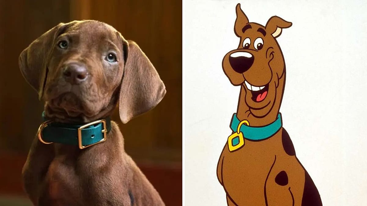 „Netflix“ parodė „Scooby-Doo: Origins“: gerbėjai piktinasi, kad šuo visai nepanašus į Skubį