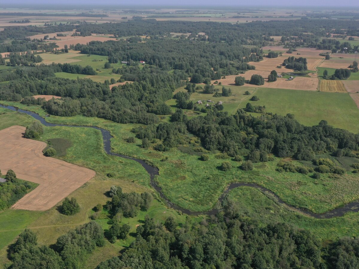 Pasėlių ir gyvulių deklaravimas artėja prie pabaigos: iki birželio 12 dienos liko savaitė