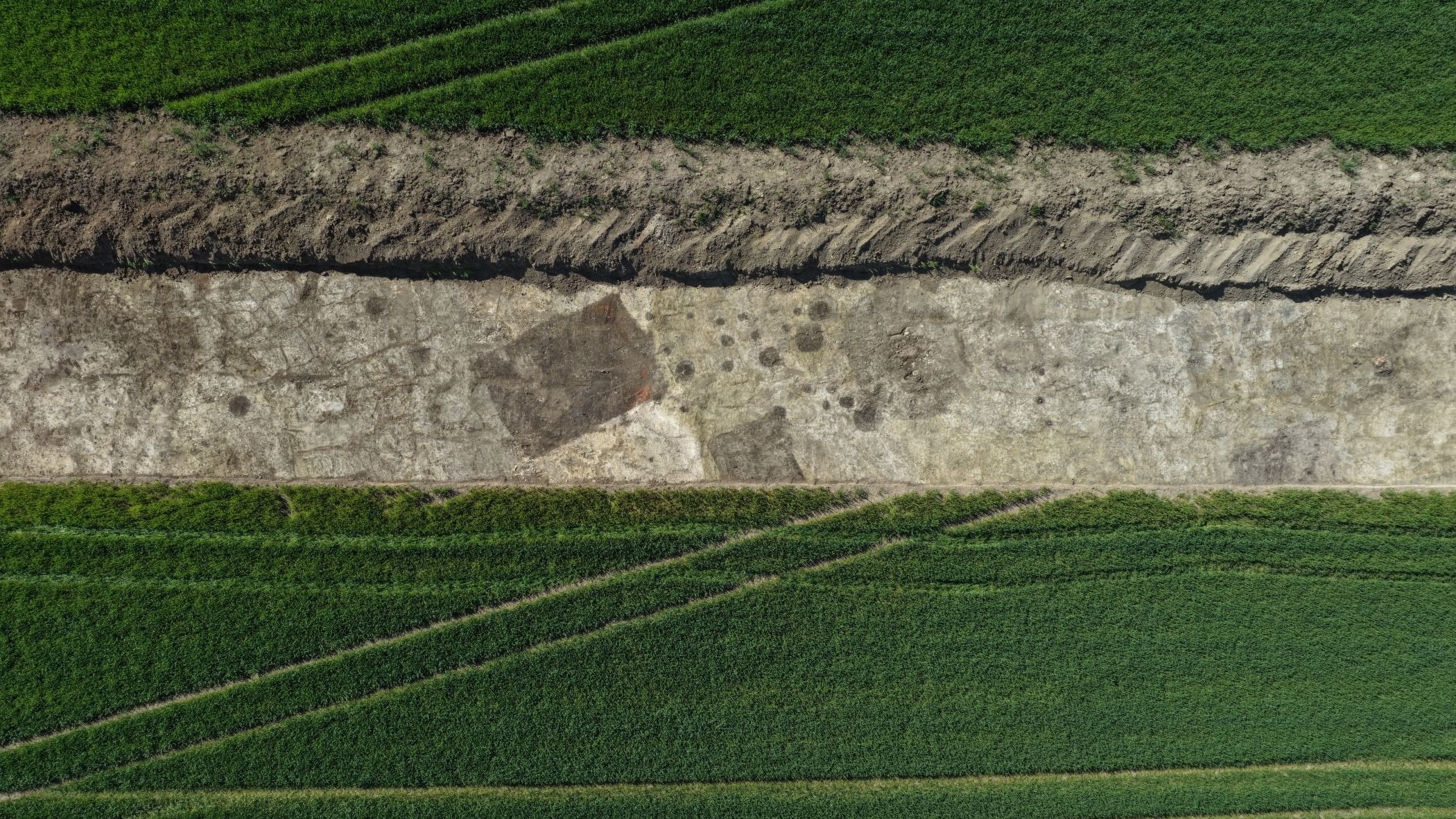 Dingo miestas, apie kurį rašė kronikos: archeologai Lenkijoje pagaliau rado 600 metų mįslę