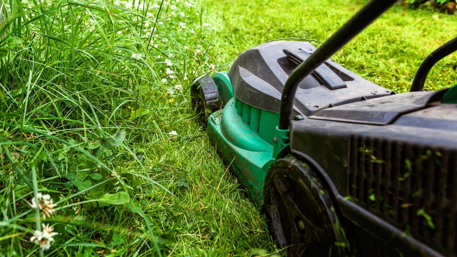 Ne visi žolynai reikalauja žoliapjovės: kada geriau rinktis trimerį ir sutaupyti laiko