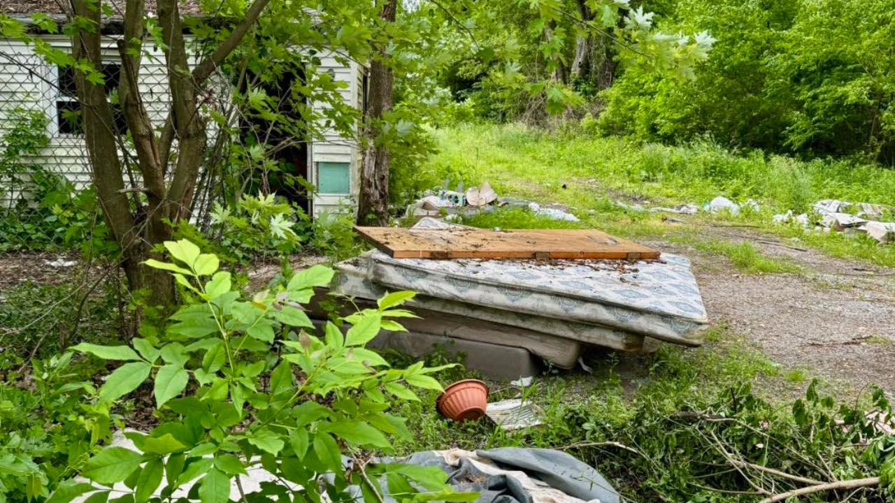 Po pasivaikščiojimo su šunimi – šokas: po purvinų čiužinių krūva rado 6 išsekusius jauniklius