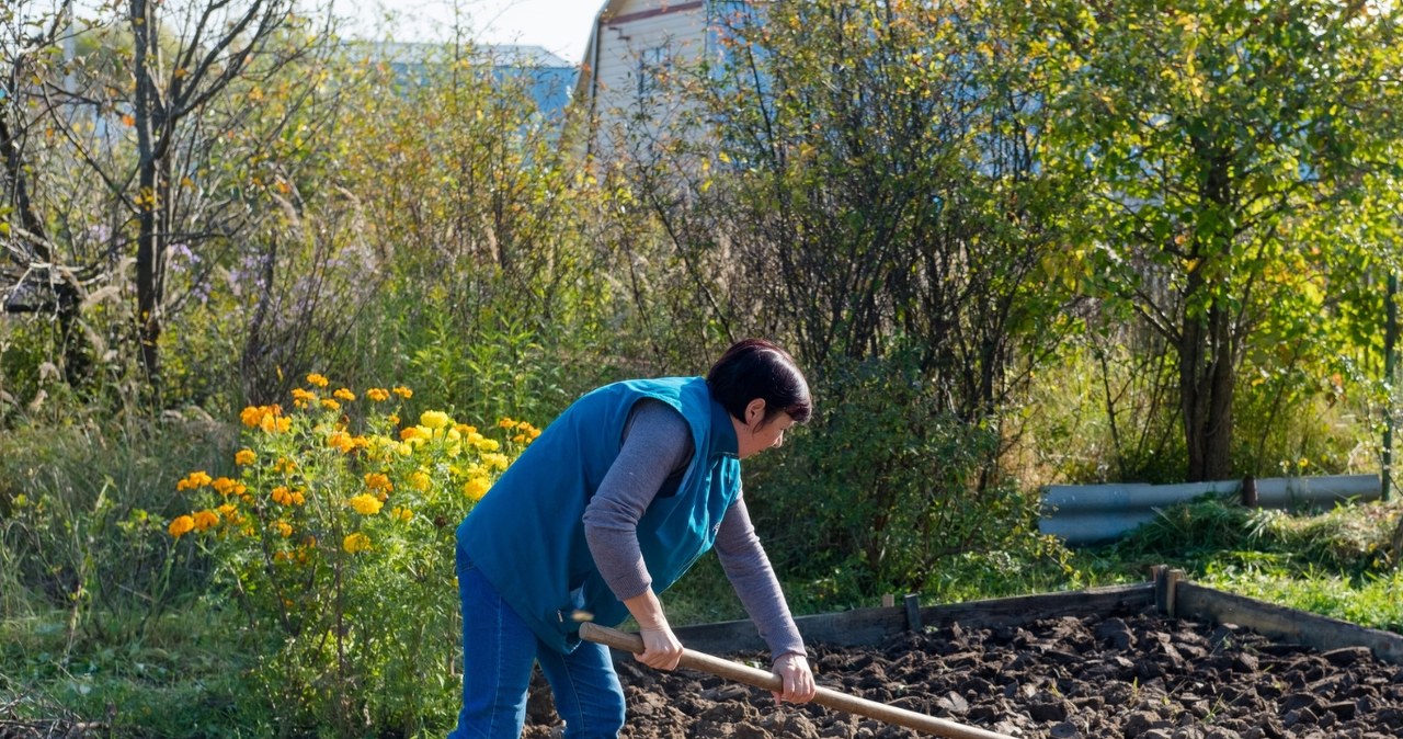 Perkate granules daržui? Viena smulkmena pakuotėje parodo, ar tikrai verta mokėti