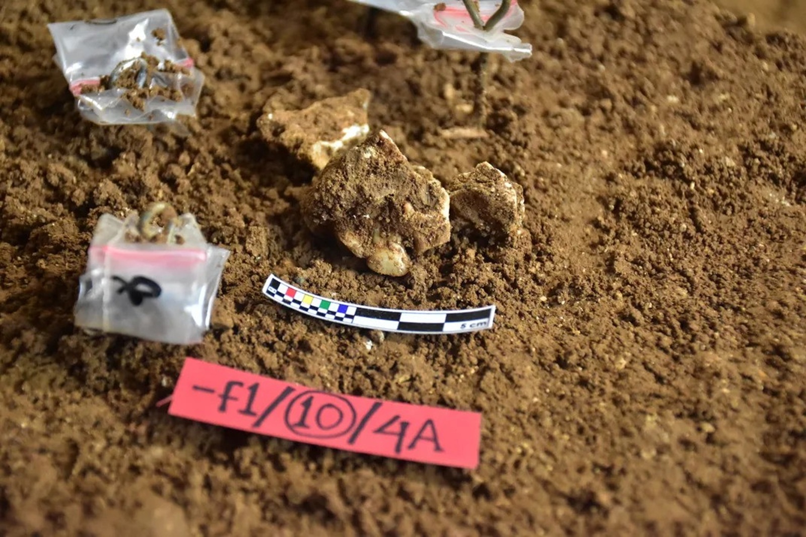 Mokslininkus pribloškė radinys Indonezijoje: dantys išdavė 25 tūkst. metų „stimuliantą“