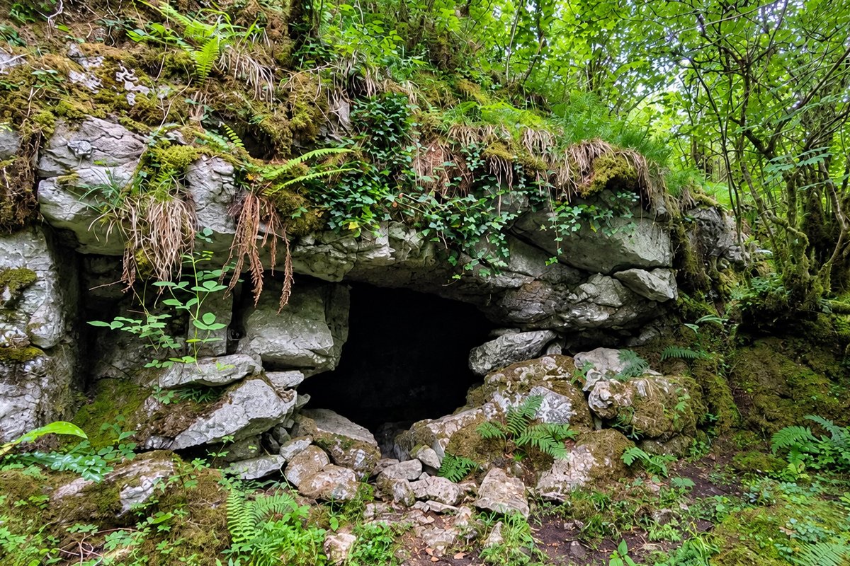 Airijos istorija gali būti perrašyta: urvų piešiniai rodo žmones čia gyvenus prieš 15 000 metų