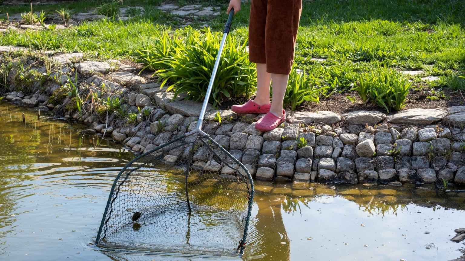 Nepraleiskite rudens: jei šito neišimsite iš tvenkinio, žiemą gali nukentėti žuvys