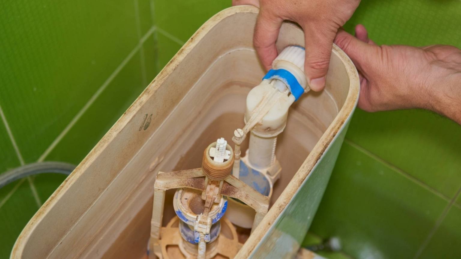 Į bakelį įdėjo paprastą butelį: šis triukas gali sumažinti vandens sąnaudas ir sąskaitas